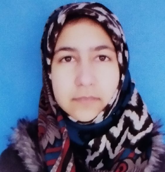 Abiza wali